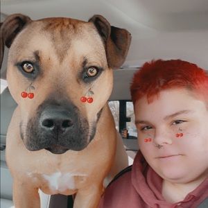 Meet your Posher, Link